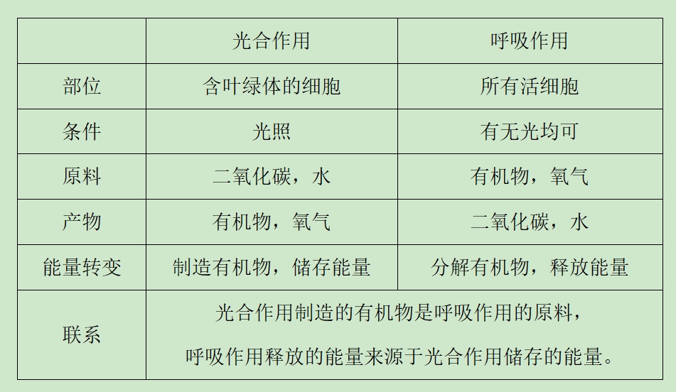 20231017105555317-55-bfe2b.png